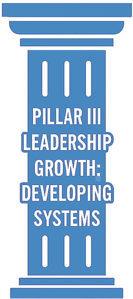 Strategic leadership development pillar for organizational growth and system improvement.